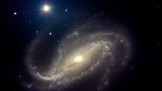 Cientistas afirmam que todo objeto no universo tem consciência