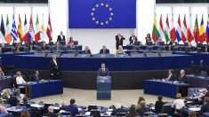 Chefe europeu critica “nacionalistas estúpidos” antes de eleições parlamentares