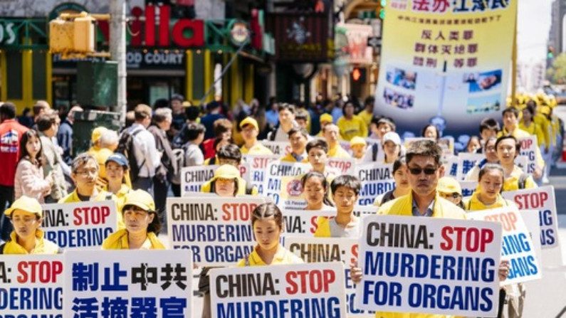 Cartazes pedem o fim da extração forçada de órgãos praticada pelo PCC (Minghui.org)