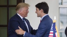 Trump promete a Trudeau abordar caso de canadenses detidos com líder chinês no G20