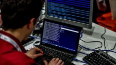 Combate ao cibercrime: dados e cooperação internacional são fundamentais