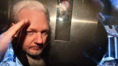 EUA aumentam acusações contra Julian Assange durante audiência de extradição
