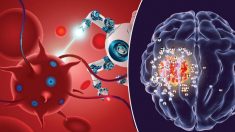 Cientista pioneira inventa tratamento com nanotecnologia que pode curar a esclerose múltipla e dar esperança a milhões