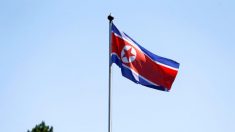 Coreia do Norte dispara vários projéteis não identificados na costa leste do país
