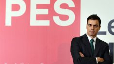 Sánchez cogita formar governo com aliança de esquerda na Espanha