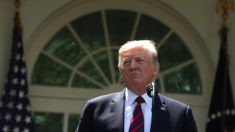 Trump confirma que operações para deportar imigrantes começarão no domingo
