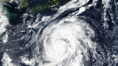 Alerta no Japão: super tufão Hagibis pode passar por Tóquio com ventos estimados em 150 km/h