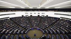 Parlamento Europeu decide condenar tentativa de ‘golpe de Estado parlamentar’ na Venezuela