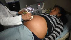 Escândalo na Colômbia: denúncia de venda de órgãos de bebês abortados