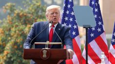 Trump declara emergência nacional nos EUA por avanço de coronavírus