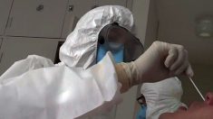 Pesquisadores brasileiros avançam no sequenciamento do coronavírus