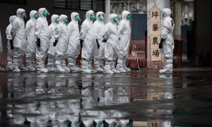 China reporta primeira gripe aviária H5N6 na fazenda de aves domésticas em Sichuan