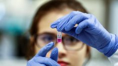 Johnson & Johnson começará em setembro testes de vacina experimental