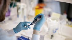Laboratório dos EUA anuncia resultados positivos de testes de vacina contra covid-19