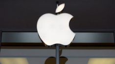 Apple move 20% de sua produção para a Índia