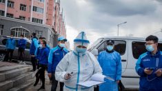 Documentos vazados do governo chinês sugerem graves surtos de vírus em hospitais do norte