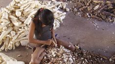 Fórum teme que covid-19 provoque aumento de trabalho infantil