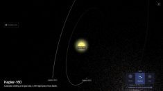 Astrônomos acreditam ter encontrado exoplaneta como a Terra orbitando estrela igual ao sol