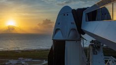 SpaceX envia outro lote de satélites para o espaço após seu lançamento histórico