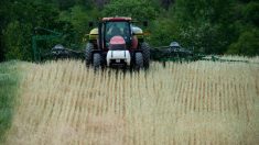 Legisladores querem proibir empresas chinesas de comprar terras agrícolas dos EUA devido à ameaça de “segurança nacional”