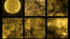 Nasa anuncia começo de novo ciclo solar