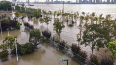 Pico da inundação desce rio Yangtze à medida que água atinge níveis perigosos