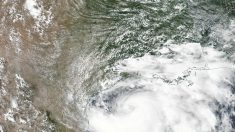 Hanna se torna 1º furacão do Atlântico neste ano, e segue rumo ao Texas