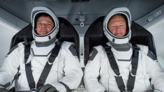 Astronautas da NASA retornam à Terra a bordo da cápsula Space X