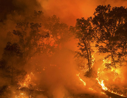 Trump visita Califórnia e pede melhora em gestão de incêndios florestais