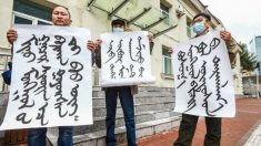 Dezenas de milhares assinam petição da Mongólia Interior contra a pressão de Pequim para erradicar sua língua