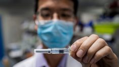 Anvisa libera compra de 6 milhões de doses da vacina chinesa