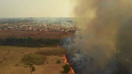 Peritos do MT identificam acidentes entre as causas do incêndio no Pantanal