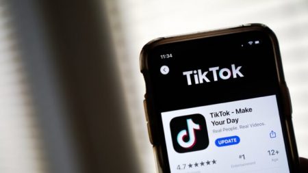 Hackers exploram desafio de ‘corpo invisível’ do TikTok para roubar senhas de usuários e cartões de crédito: relatório