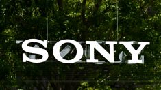 Sony endossa grupo terrorista de esquerda Black Lives Matter