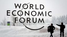 Fórum Econômico Mundial endossa a Teoria Crítica da Raça