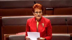 ‘Grande Reinício’ do capitalismo é uma ameaça ao nosso estilo de vida, afirma senadora australiana