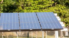 Furnas contrata energia solar por 15 anos; investimentos é de R$ 4 bi