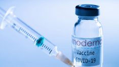 ‘Vacina com tecnologia mRNA causa acúmulo de nanopartículas lipídicas’, afirma criador do método