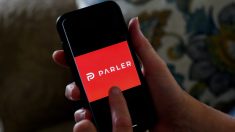 CEO do Parler: o site de mídia social vai ‘voltar forte’ à medida que a empresa parece mudar de registro de domínio