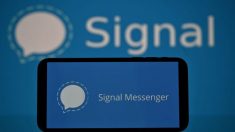Signal e Telegram se tornam os aplicativos mais baixados após a nova política do WhatsApp