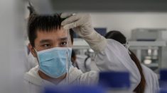 Vacina chinesa 50,4 por cento eficaz, resultados do Brasil mostram