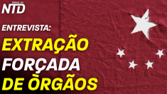 Entrevista com brasileiros premiados em concurso internacional contra extração forçada de órgãos