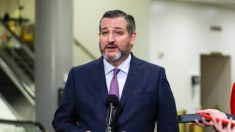 ‘Quis ser um bom pai’: Ted Cruz responde críticas de que teria viajado à Cancun em meio à crise de energia do Texas