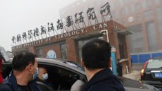 EUA param de financiar laboratório de Wuhan: experimentos “violaram” os termos da concessão