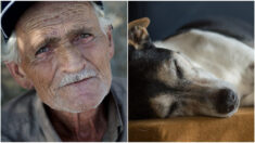 Vovô que vive em extrema pobreza resgata cão paraplégico e o hospeda em sua humilde casa