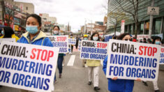 Médico do Texas se pronuncia contra a extração forçada de órgãos na China