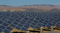 Estudo denuncia suposto trabalho forçado em empresas de energia solar em Xinjiang