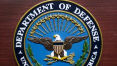 30 republicanos pedem ao Pentágono que ‘lute’ contra o ‘extremismo de esquerda’ nas Forças Armadas