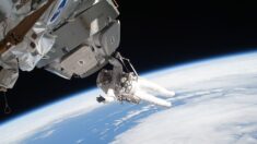 Mamãe astronauta se prepara para a missão SpaceX da NASA, ela ficará 6 meses longe do planeta Terra