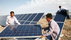 EUA proíbem importação de materiais de energia solar de empresas chinesas com trabalhos forçados